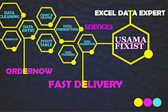 do excel data entry, cleaning, formulas, and pivot tables