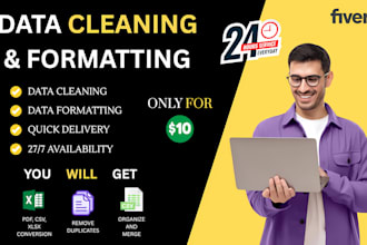 clean and format excel and CSV data quickly and accurately
