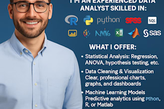 do statistical data analysis using r, stata, python,excel