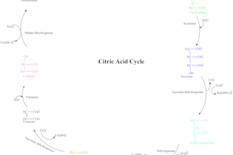 create scientific illustrations, draw chemical reactions and graphical abstracts