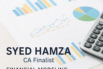 provide excel financial model, budget, forecast and projections
