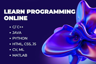 teach you c, cpp, python, java, html, css, javascript, matlab, cv, ml
