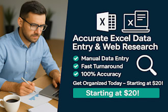 do accurate excel data entry, web research, and data mining