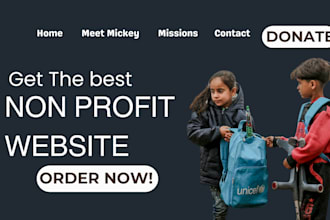 nonprofit website, charity website, 501c3 website, donation website, ngo website