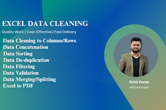 ms excel data cleaning and formatting