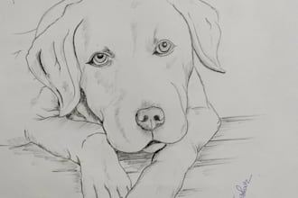 create a custom handdrawn pencil sketch