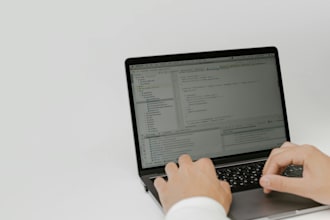 teach you computer basics, digital skills, and python programming online