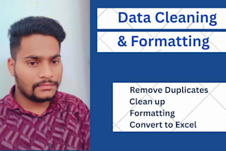 clean,format and analyze your excel or google sheets data