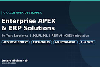 build or fix your oracle apex application