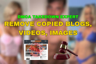 help you file a dmca takedown against piracy or plagiarism