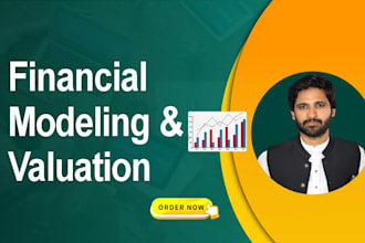 create custom excel financial models for projections, valuations