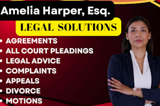 professionally write legal agreements, contract, motion, lawsuit, terms, policy