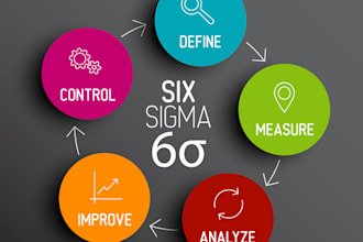 guide you on lean six sigma projects
