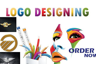 design a professional logo for your taxi booking website, chauffeur, vtc