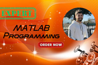 do your matlab programming, image processing, simulink, gui tasks