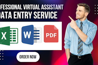 do excel data entry, copy paste, formatting,  typing work and convert PDF