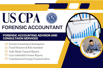 do forensic accounting advisor, fraud detection, audits and consultation