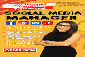 social media marketing manager facebook marketing meta ads instagram marketing