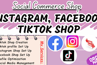 setup tiktok shop and instagram shop, tiktok and instagram profile set up