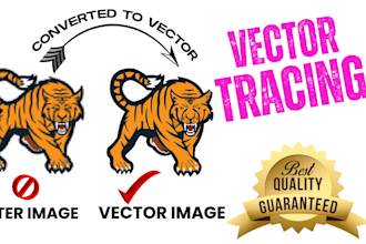 do high quality vector tracing from jpg, png or sketch