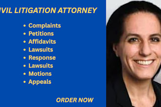 be your civil litigation lawyer and help you write complaints, lawsuits, motions