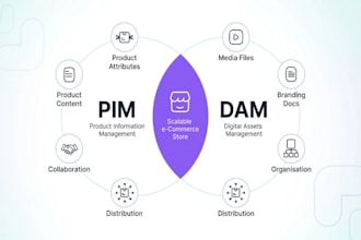 organize your dam and pim solution