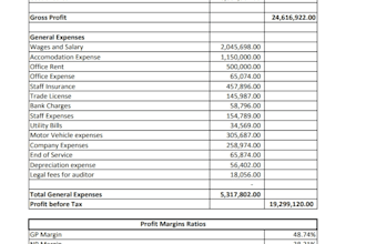 perform bookkeeping business analysis financial reporting