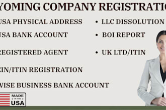 setup a US llc with ein for stripe or shopify access,  form your US llc