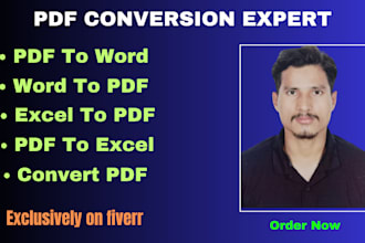 convert PDF to excel, word, PDF conversion copy  paste