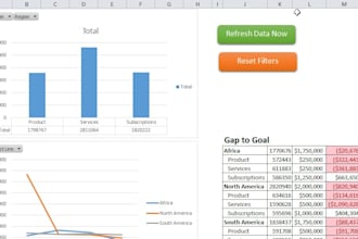 create custom financial dashboards in notion or excel for your business
