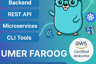 develop or fix golang backend, rest apis, and cli tools