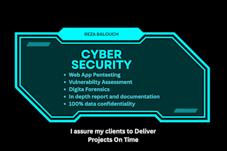 do penetration testing, website security, and cyber security