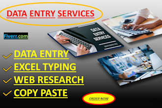 do data entry, web research, excel data entry, copy paste, pdf to excel