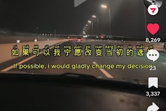 translate chinese to english or vice versa in a clear manner