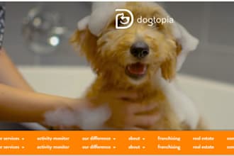 build squarespace pet care website, dogs, cats training, pet supplies website