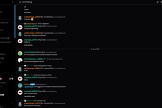 create a professional discord server with custom python bots