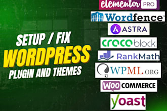 fix wordpress plugin and theme vulnerabilities, update and secure site