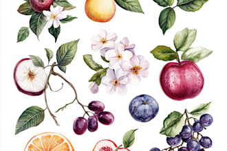 do botanical illustrations of flowers, fruits and plants