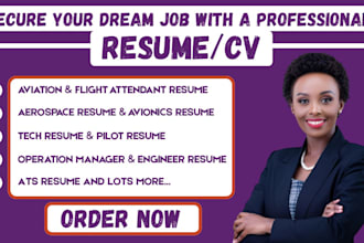 write a professional aviation flight attendant pilot aerospace cv resume writing