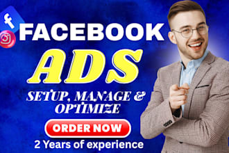 be your fb ads manager, ig ads, fb ads campaign