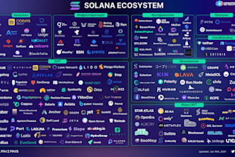 smart contract, solana token, meme coin, ai saas crypto website, kyc wallet app