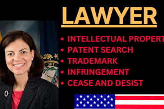 provide legal advice on intellectual property, copyright, trademark and patent