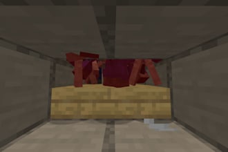 do building and gather resources