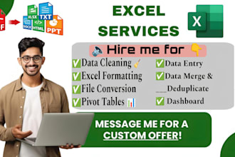 do excel data entry, cleaning, pivot table, dashboard