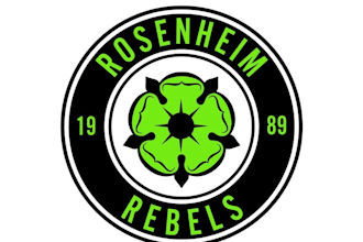 design reputed classic sports brand logo