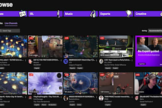boost your twitch followers with custom branding  social media promotion