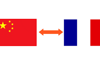 translate chinese language to french vice versa for you