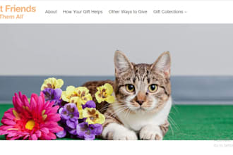 design stunning pets products shopify website dropshipping store