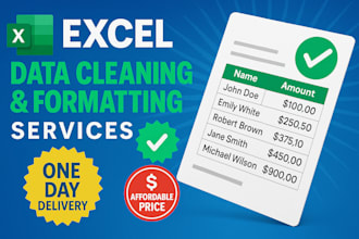 clean, organize, and format your excel data professionally