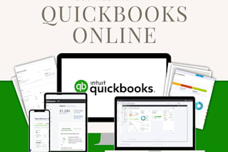 do quickbooks bookkeeping online setup, catchup, clean up and reporting